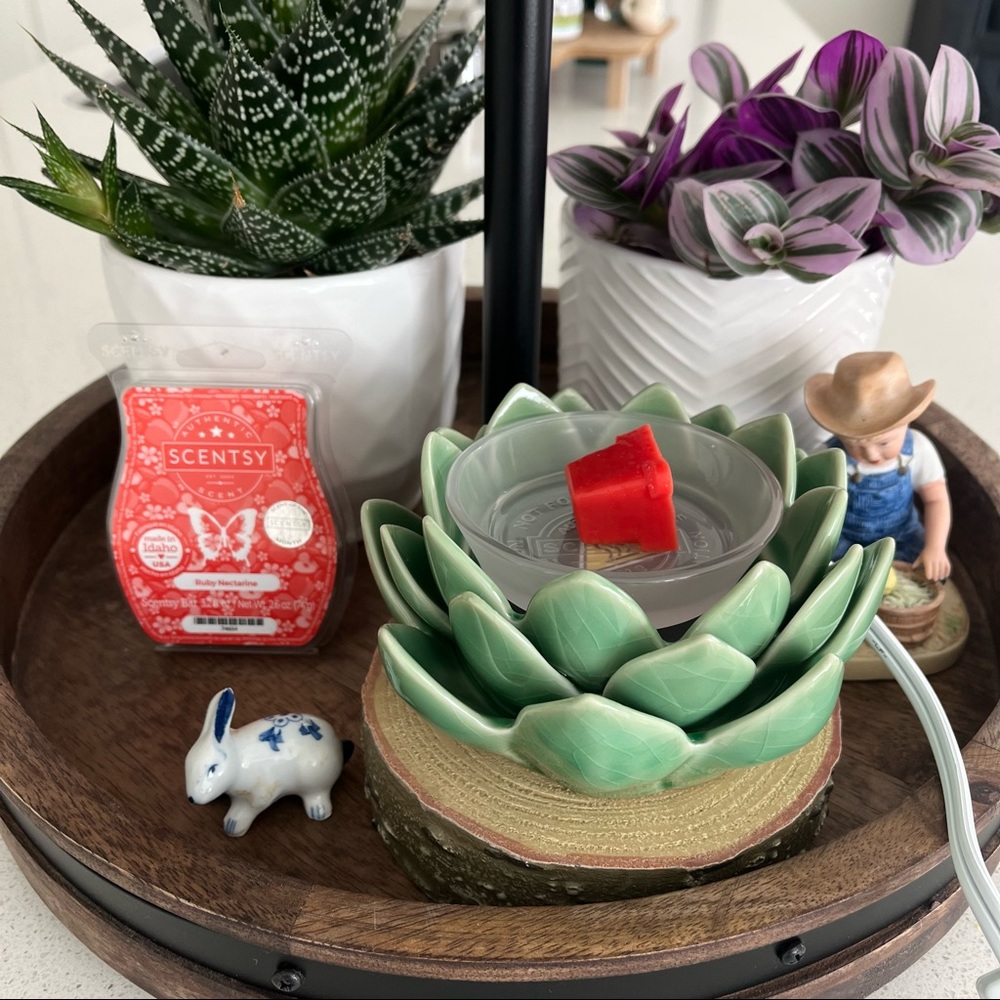 APRIL SENTSY DROP🐇🌿💐